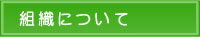 �g�D�ɂ���